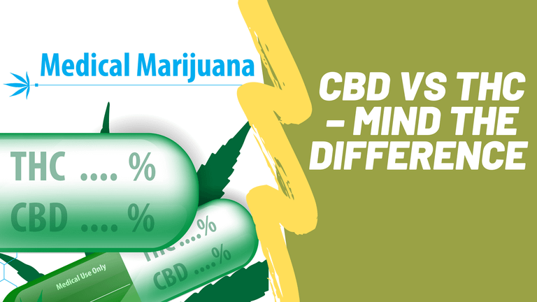 CBD vs THC – Mind the Difference and How They Work in the Body.