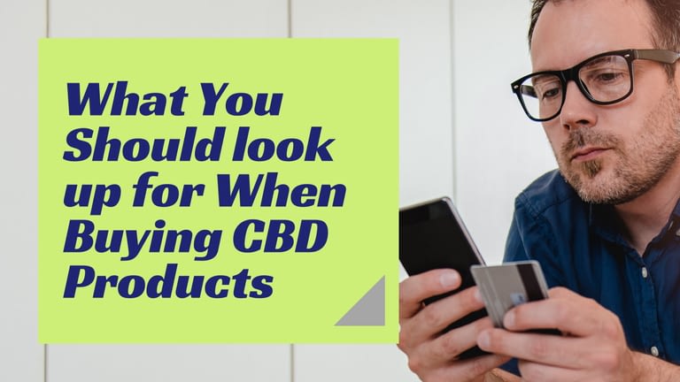 What You Should look up for When Buying CBD Products