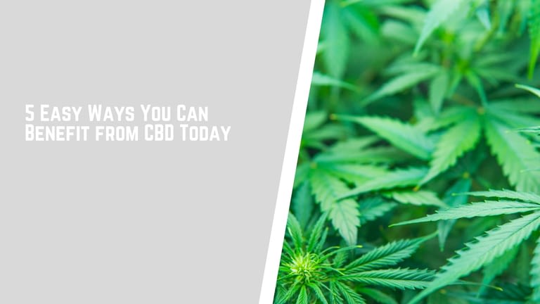 5 Easy Ways You Can Benefit from CBD Today
