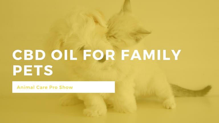 CBD Oil for Pets: Animal (Care Pro epizode)