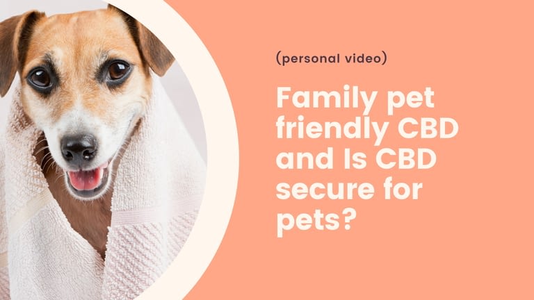Family pet friendly CBD and Is CBD secure for pets? (personal video)