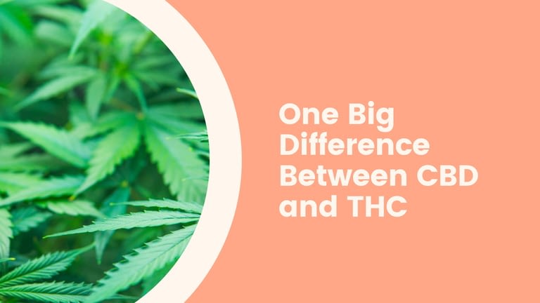 One Big Difference Between CBD and THC: