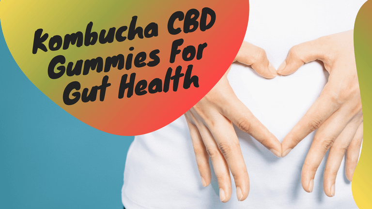 Let’s Make Kombucha CBD Gummies For Gut Health