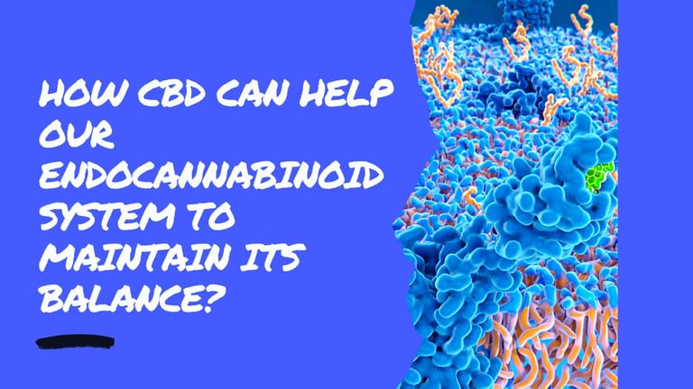 How CBD can help our Endocannabinoid system to maintain its balance?