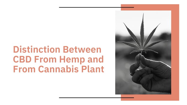 Distinction Between CBD From Hemp and From Cannabis Plant
