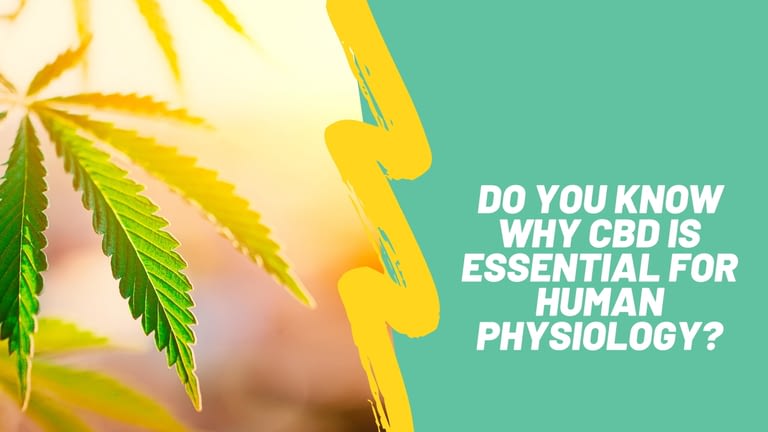 Do you know why CBD is essential for human physiology?