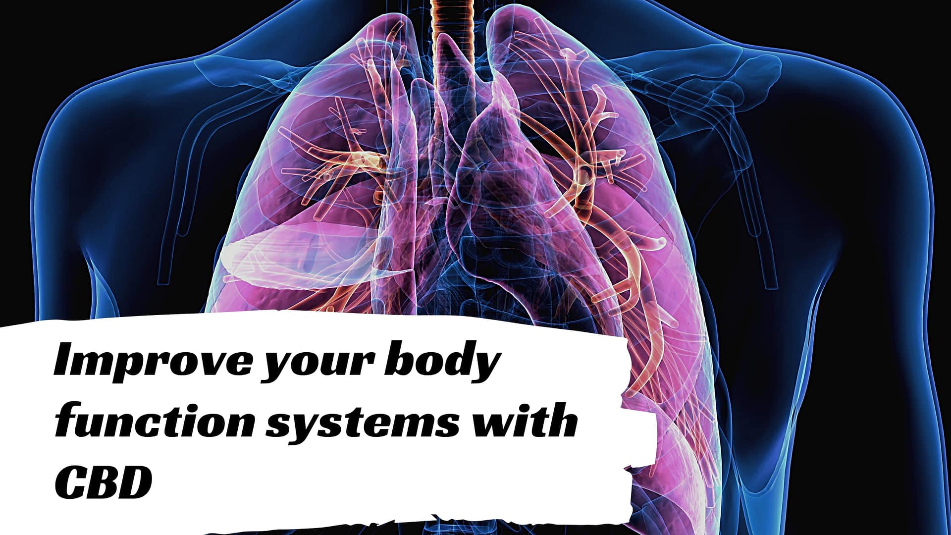 Improve your body function systems with CBD
