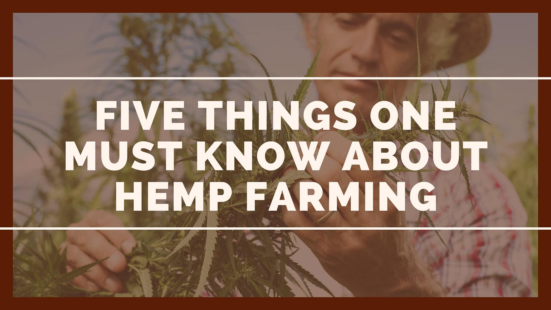 Five Things One Must Know About Hemp Farming