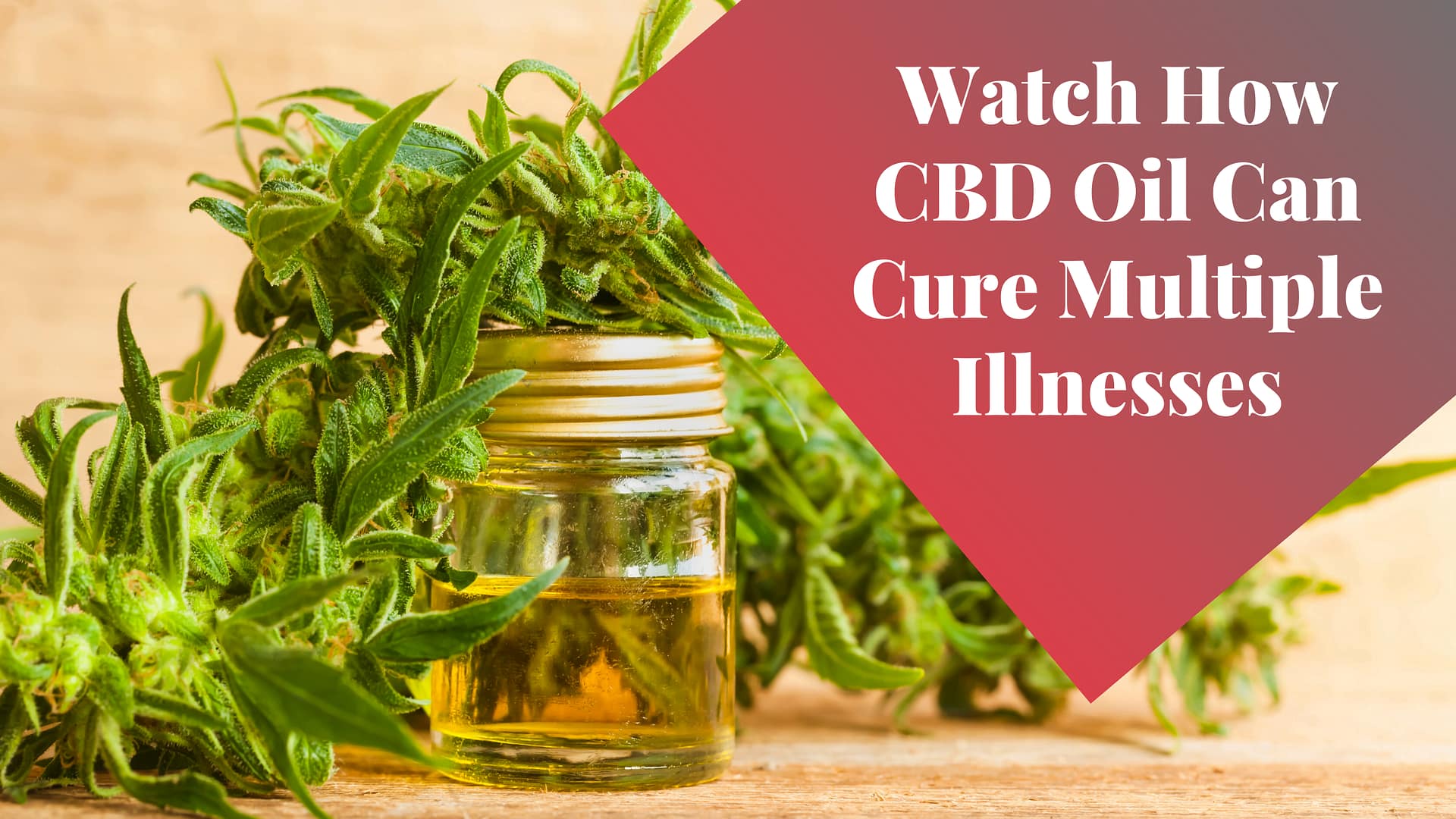 Watch How CBD Oil Can Cure Multiple Illnesses: