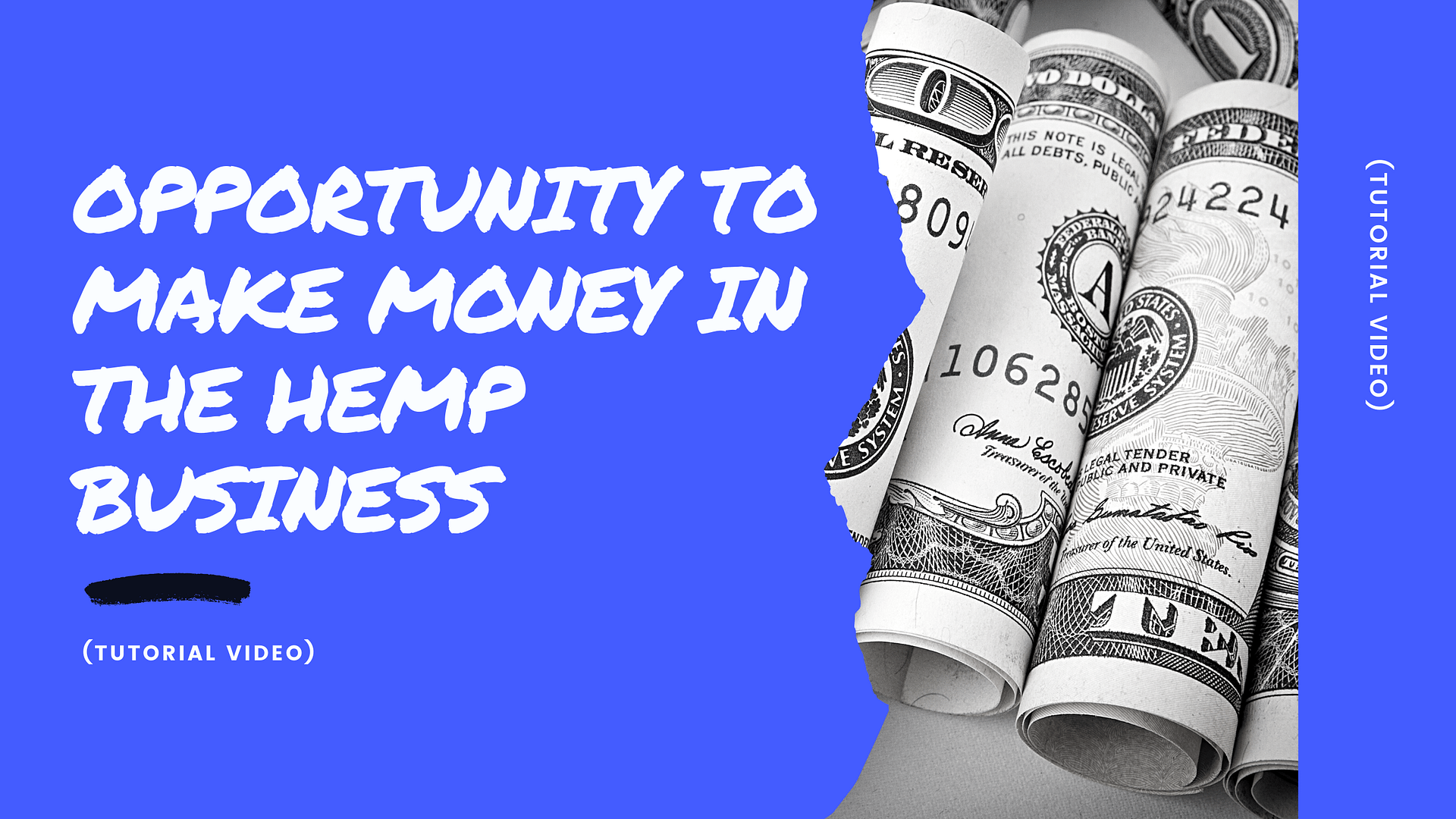Opportunity To Make Money In The Hemp Business  (Tutorial Video)