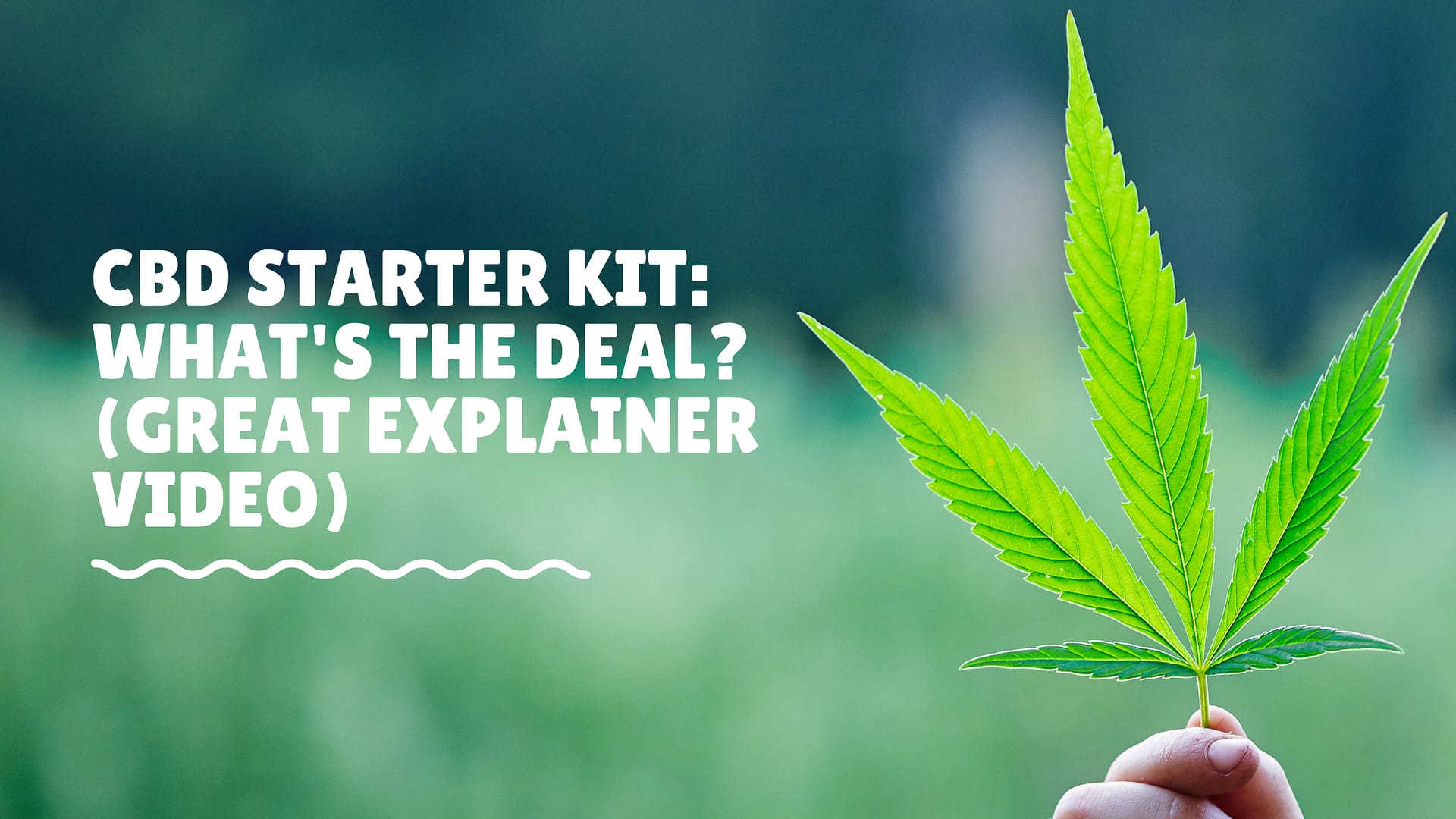 CBD Starter Kit: What’s The Deal? (Great Explainer Video)