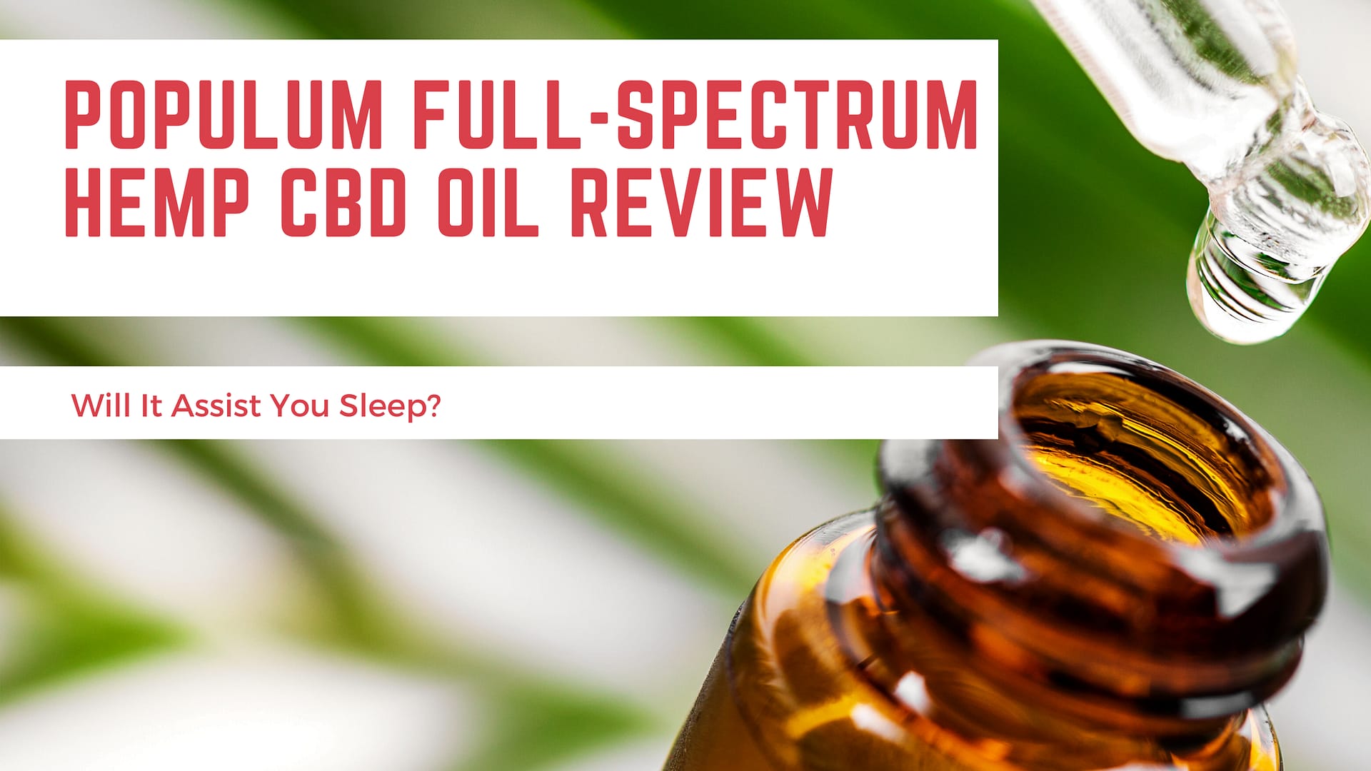 Populum Full-Spectrum Hemp CBD Oil Review – Will It Assist You Sleep?