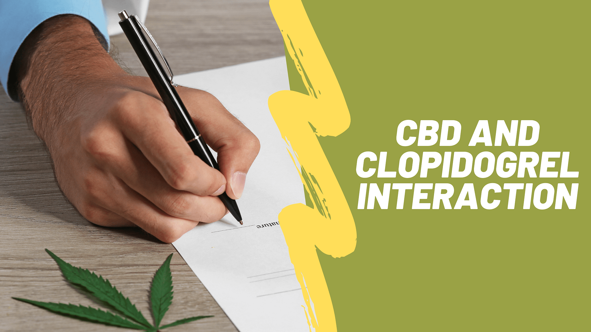 CBD and Clopidogrel Interaction