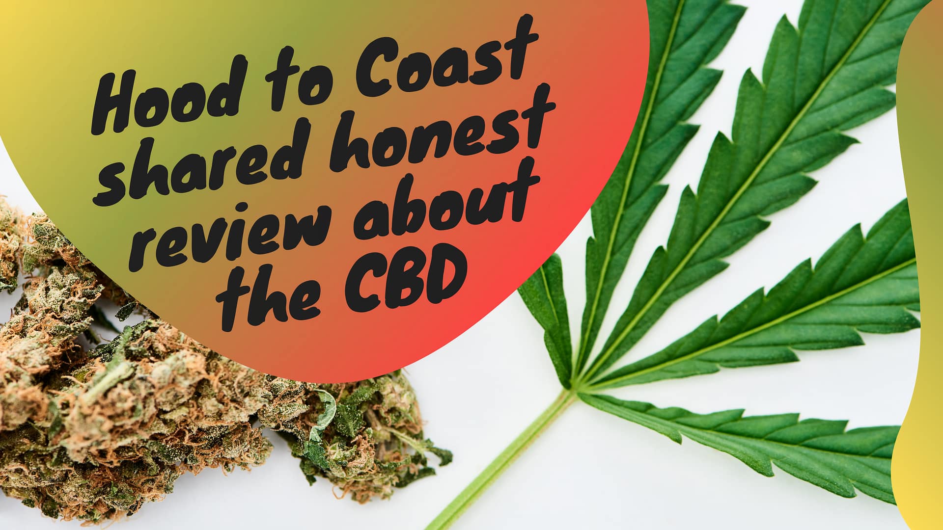 Hood to Coast shared honest review about the CBD