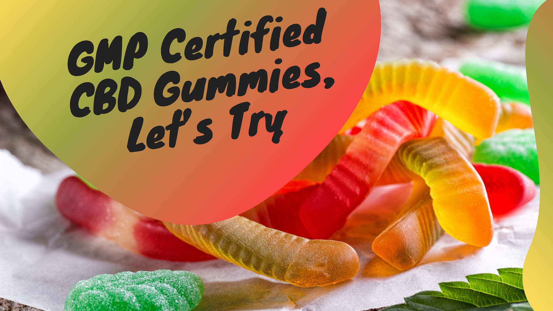 GMP Certified CBD Gummies, Let’s Try